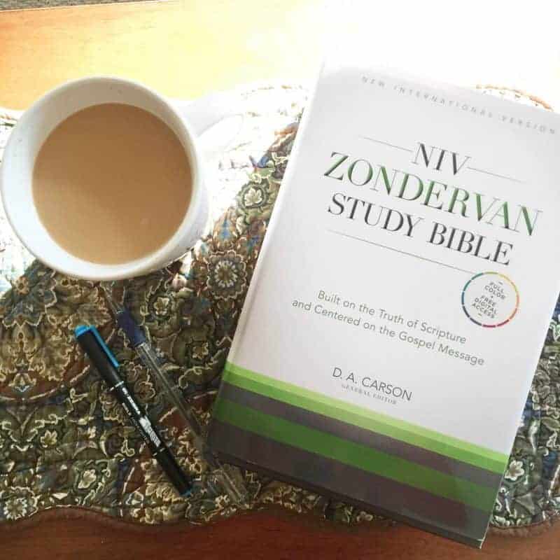 Win the New NIV Zondervan Study Bible