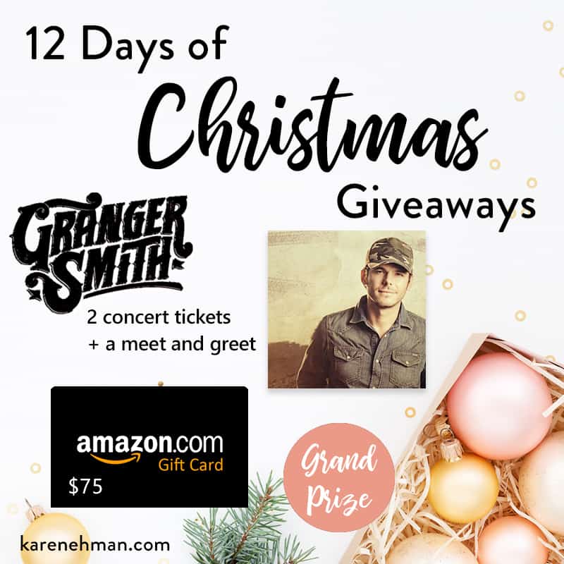 Grand Prize // 12th Annual 12 Days of Christmas Giveaways 2019 at karenehman.com.