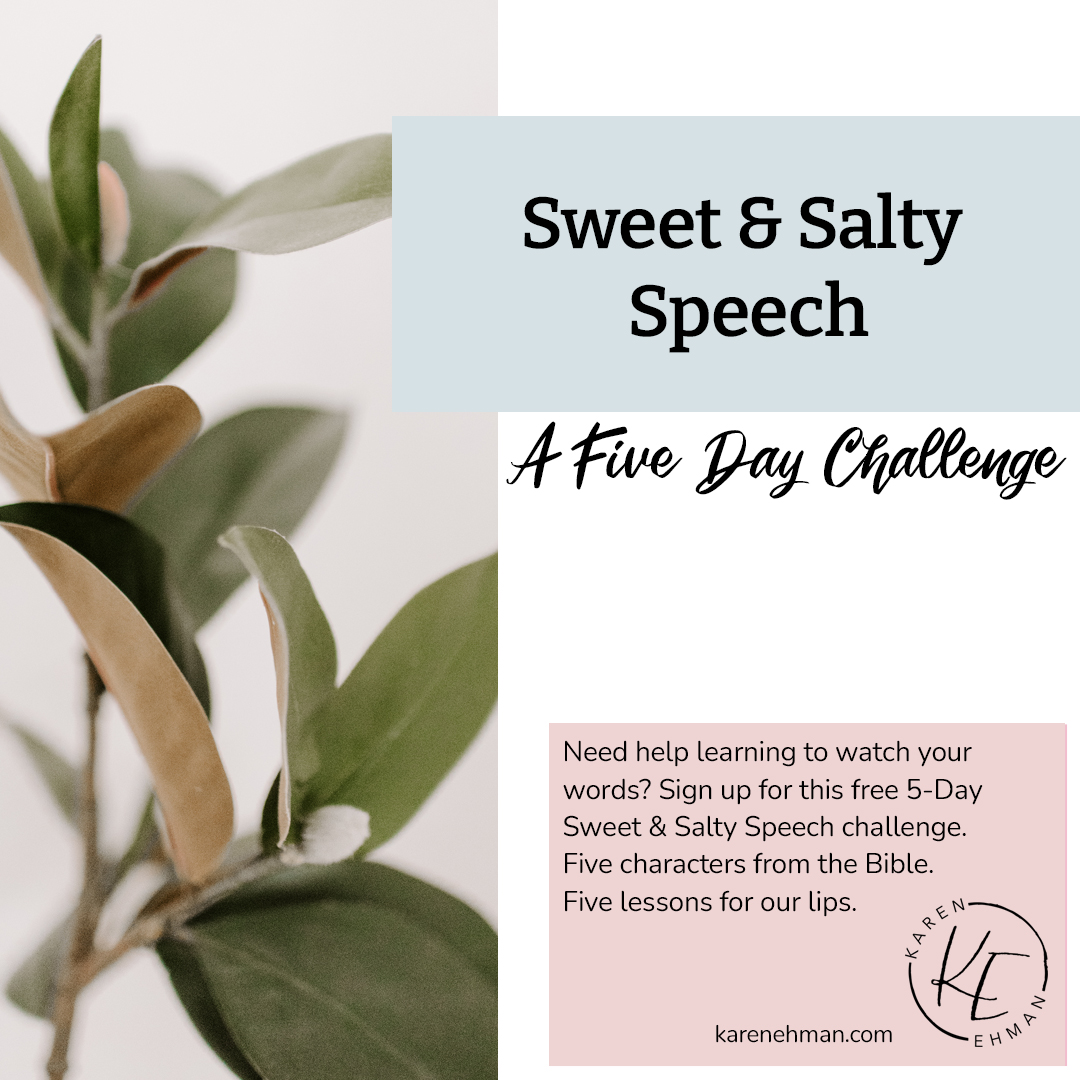 5 Days to Sweet & Salty Speech