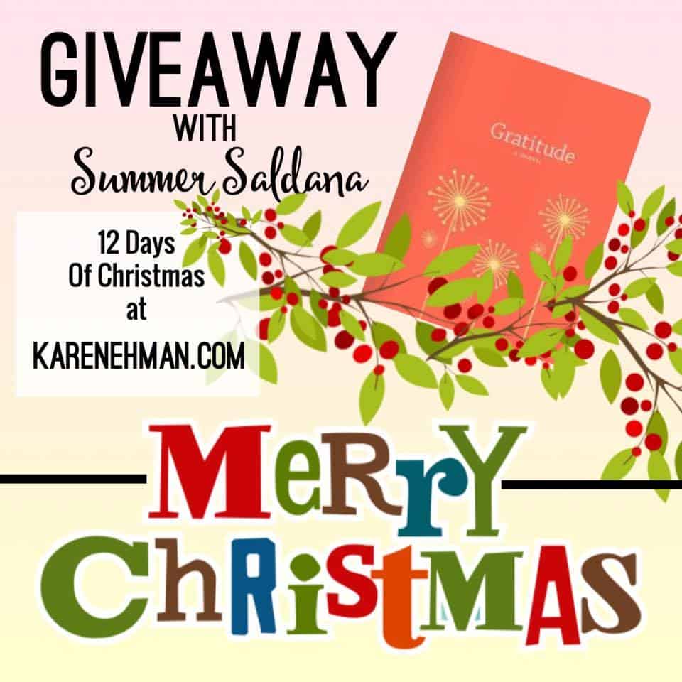 Giveaway at KarenEhman.com 12 Days of Christmas